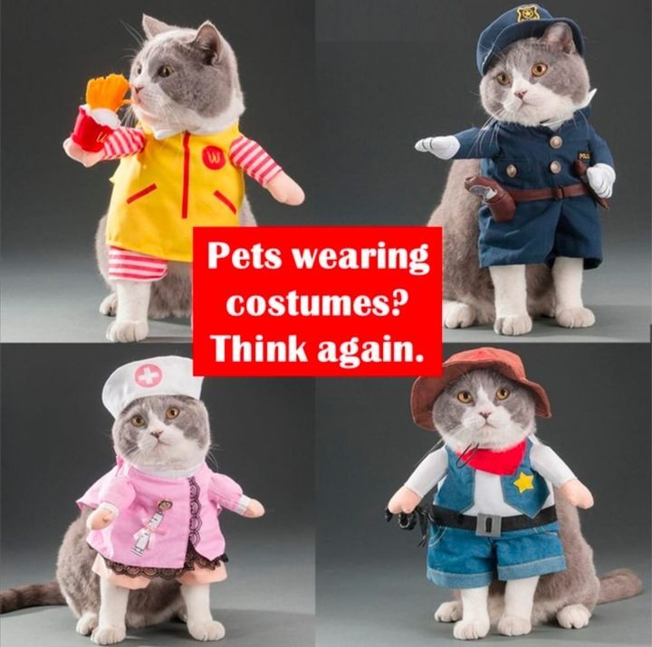 Pets Wearing Costumes? Think Again. Many People En..