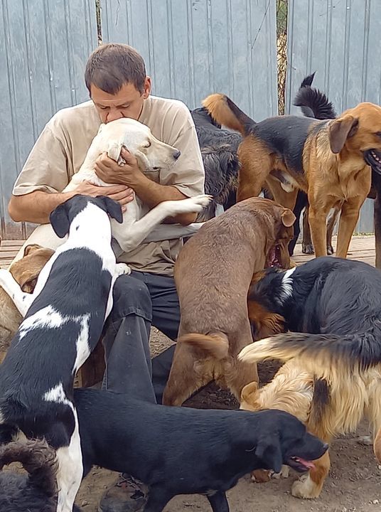 Operation "Kiss The Dogs" For 750 Dogs. Sasha’s Sh..