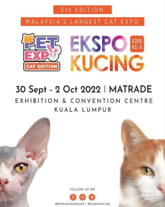Ekspo Kucing 2022 Is Back Again For The 5th Editio..