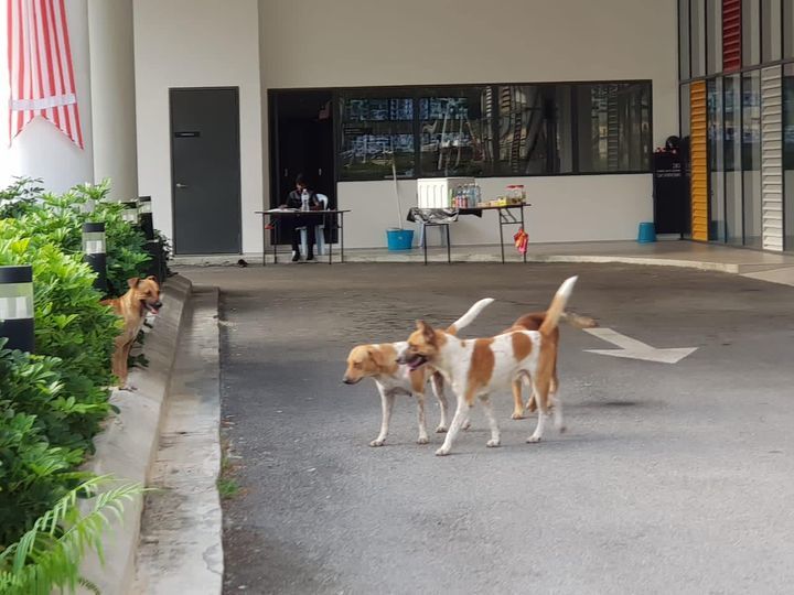 Pengurusan Kompleks Sukan Sky Arine Jalan Air Pana..