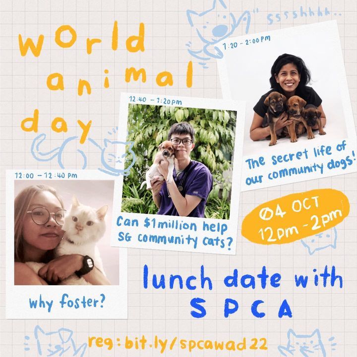 Lunch Date With The Spca We Talk, You Eat. Spca Wo..