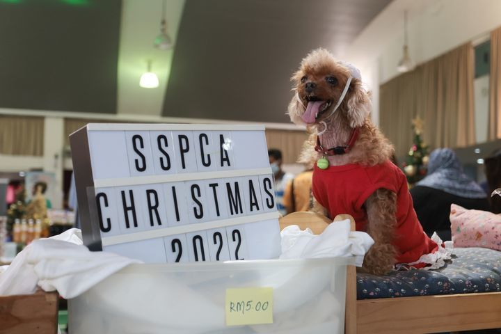 Sspca Christmas Charity Bazaar 2022