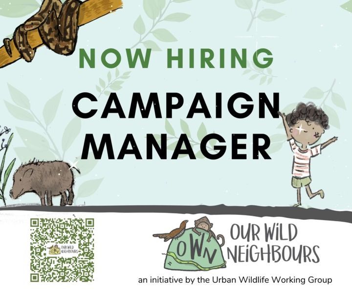 Our Wild Neighbours Hiring Now. If You’re Passiona..