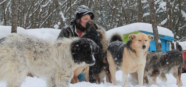 Woman Flees To Forest With Hundreds Of Dogs, Cats ..