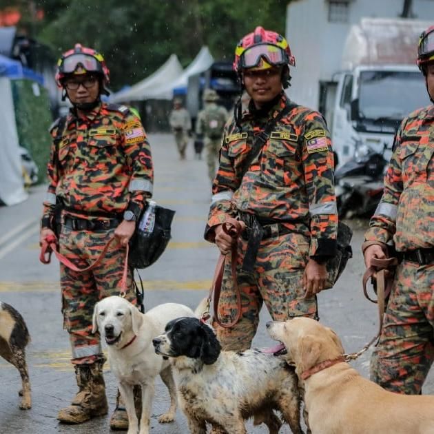 Batang Kali Landslide: Only One More Victim Missing, Not Three, Say Police | New Straits Times