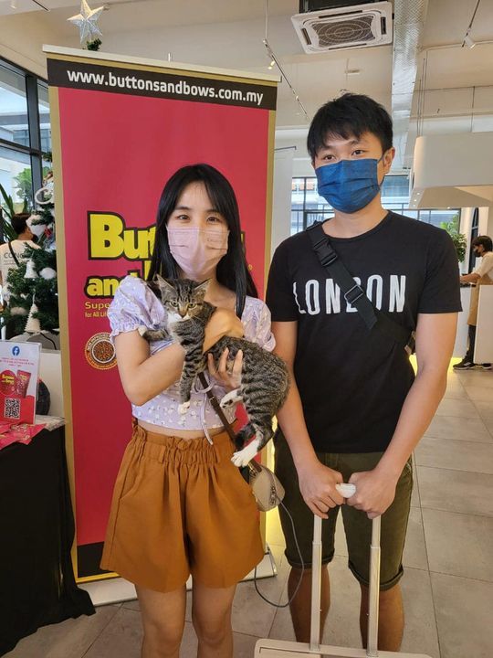 Hari Terakhir Cat Adoption Day Anjuran Maocatfe Be..