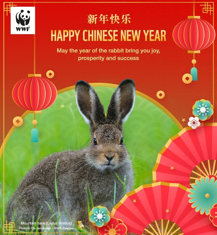 Happy And Prosperous Chinese New Year Wishes To Al..