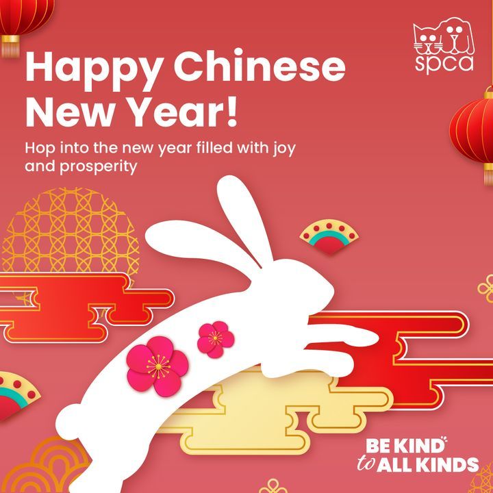 Happy Chinese New Year To All You Animal Lovers Th..