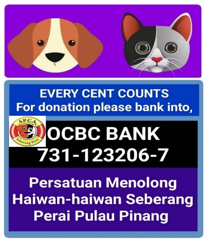 Machang Bubok 100 Spca Seberang Perai Juru. Penang..