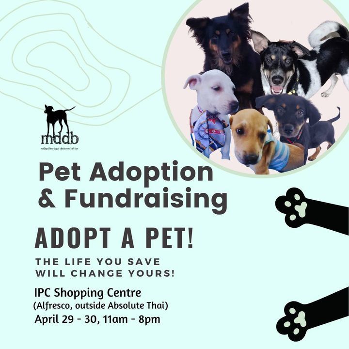 Dear All, We Are Having Our Adoption Fundraising E..