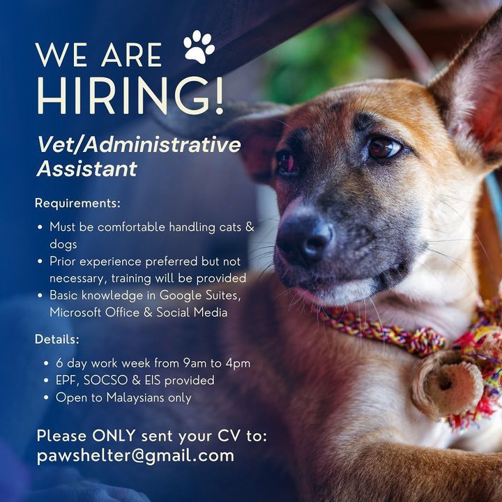 Were Hiring. Our Office Hoomans Are Looking For A ..