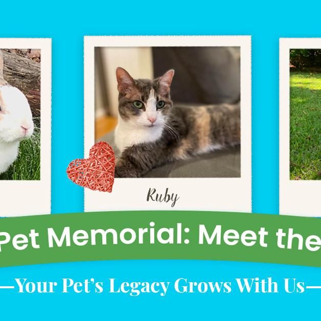 Memorial Pets
