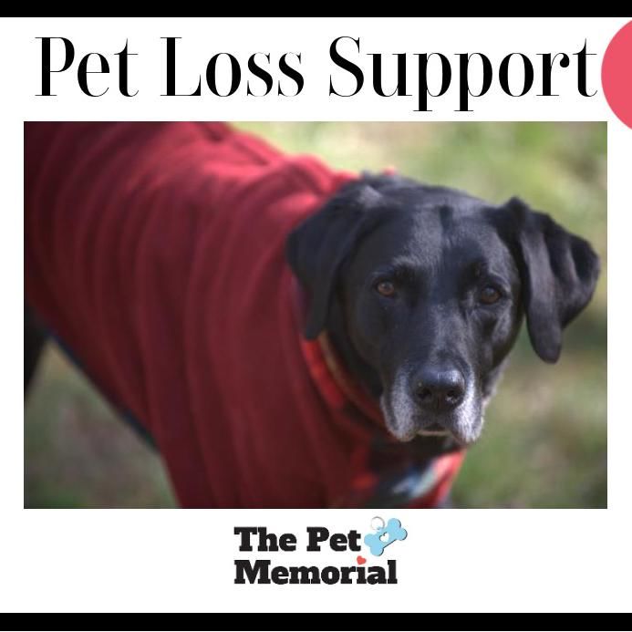 Pet Loss Support Center