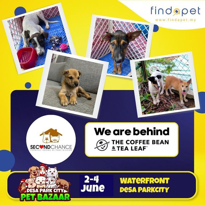 Join Us On 2nd To 4th June At Pet Bazaar, Desa Par..