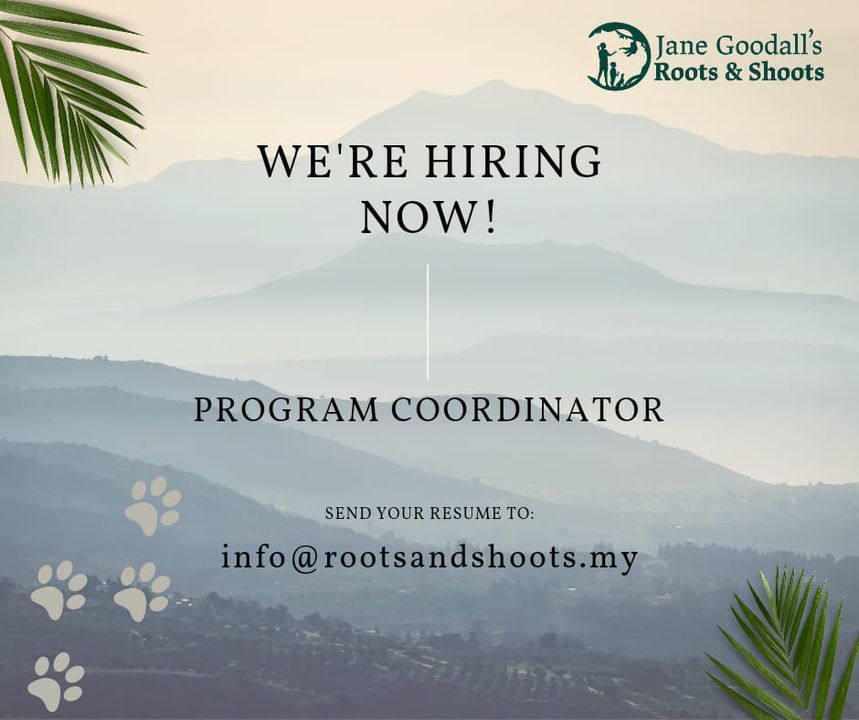 Exciting News Roots Shoots Malaysia Is Hiring. Are..