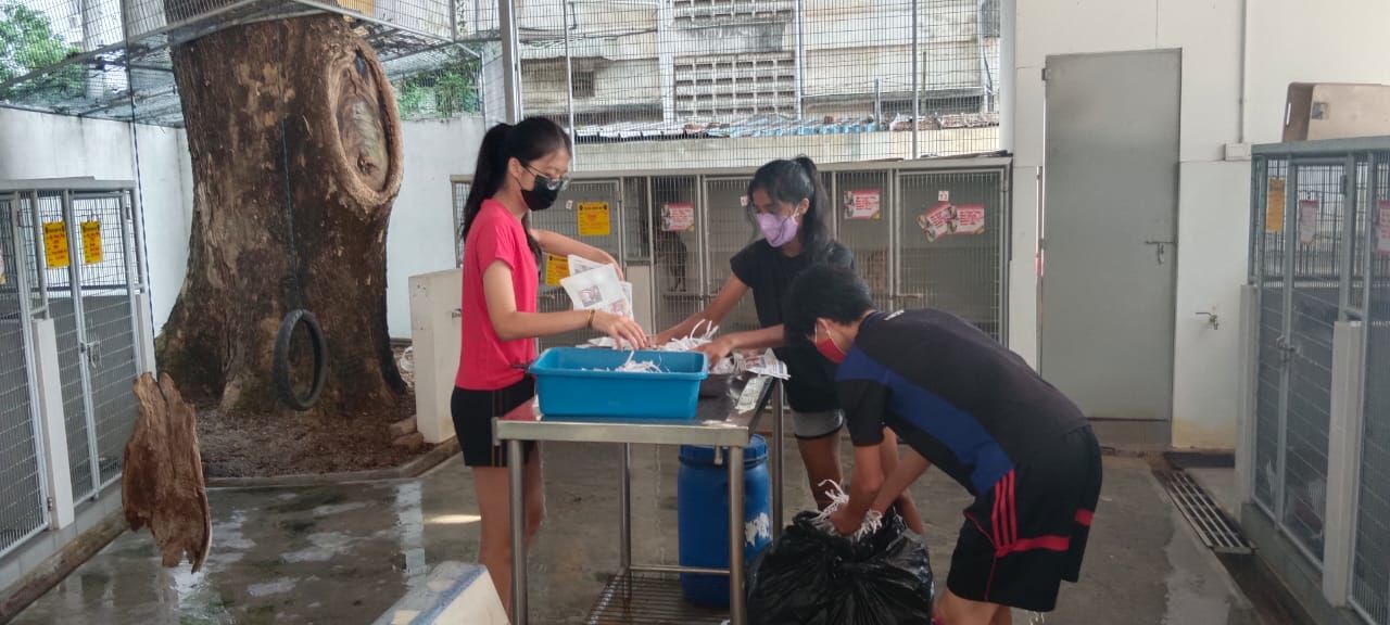 Students From Fairview International School Cleani..