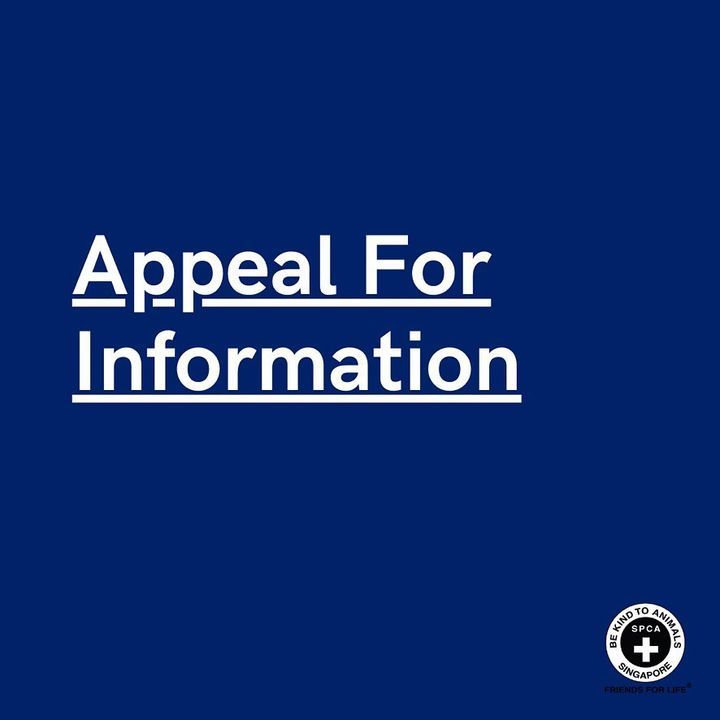 Appeal For Information. On 13th June, The Spca Was..