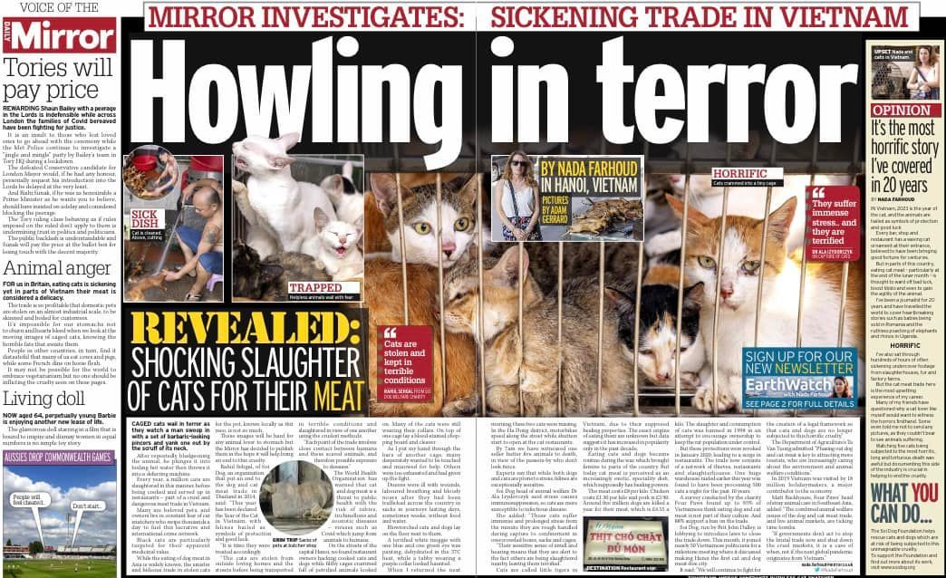 The Shocking Reality Of The Cat Meat Trade In Asia..