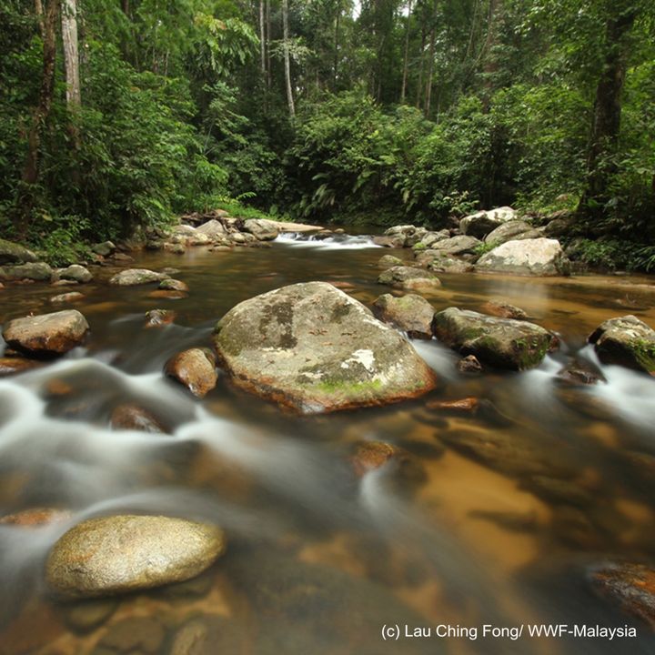 Happy Worldnatureconservationday Please Share Whic..