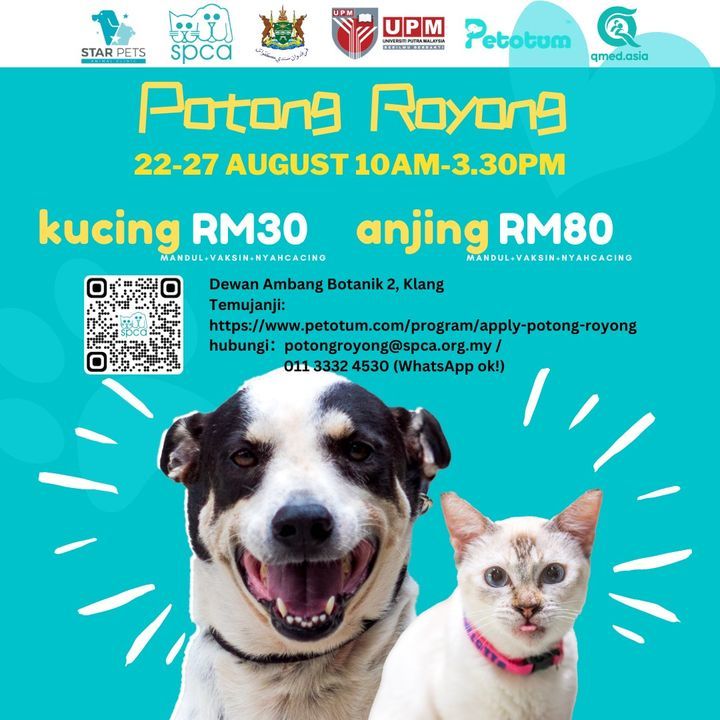 Potong Royong Di Klang 22-27hb Ogos Ini. Kucing Rm..