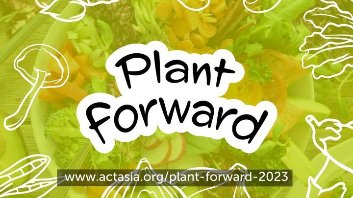 âœ¨ Plant Forward Is Back For More Plant-Based Adventures!
