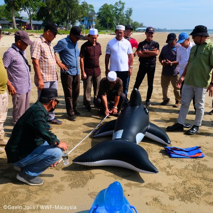Thanks To The Habitat Foundation’s Support, Wwf-Ma..