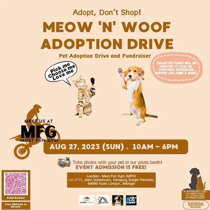 Let’s Meet Up Adorable Meows And Woofs At Mostfung..