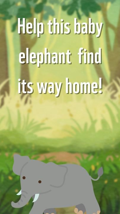 Help The Baby Elephant Go Home And Donate Today!