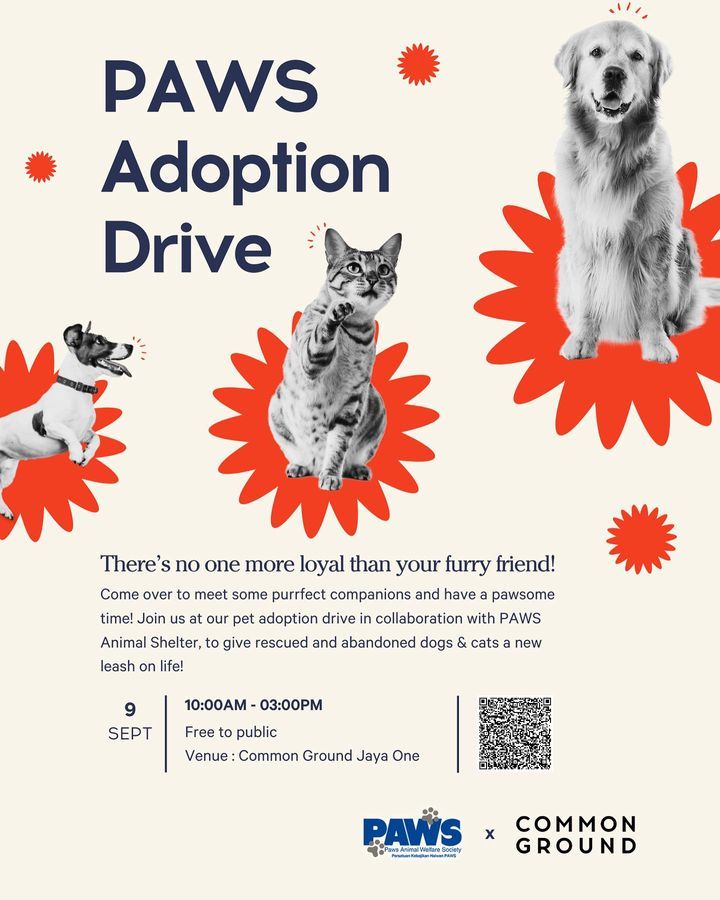 9.9 Adoption Day Is Round The Corner. Come Meet Ou..