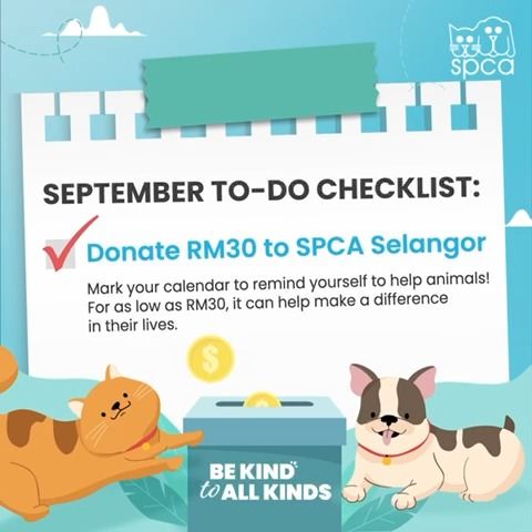 Let’s Do Some Donation To Help Animals Alternative..