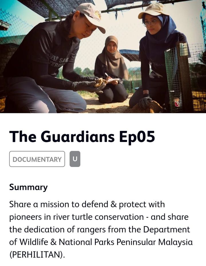 Catch Us In "The Guardians" On Astro Aec Ch 306 At..