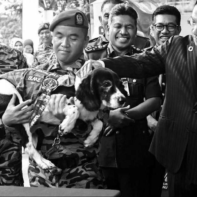 Batang Kali Landslide K9 Hero Blake Loses Battle To Stage 4 Cancer | New Straits Times