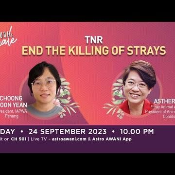 Tnrm â€” On A Mission To End The Killing Of Strays