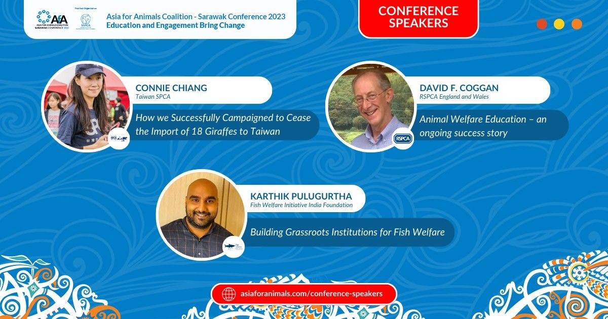 Join Us At Afa Conference For An Inspiring Lineup ..