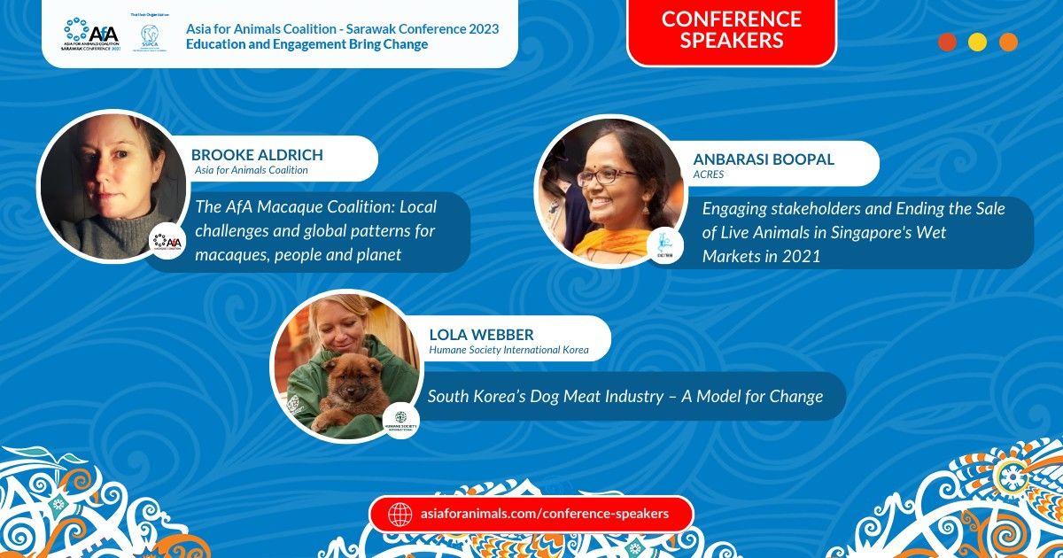 Join Us At Afa Conference For An Inspiring Lineup ..