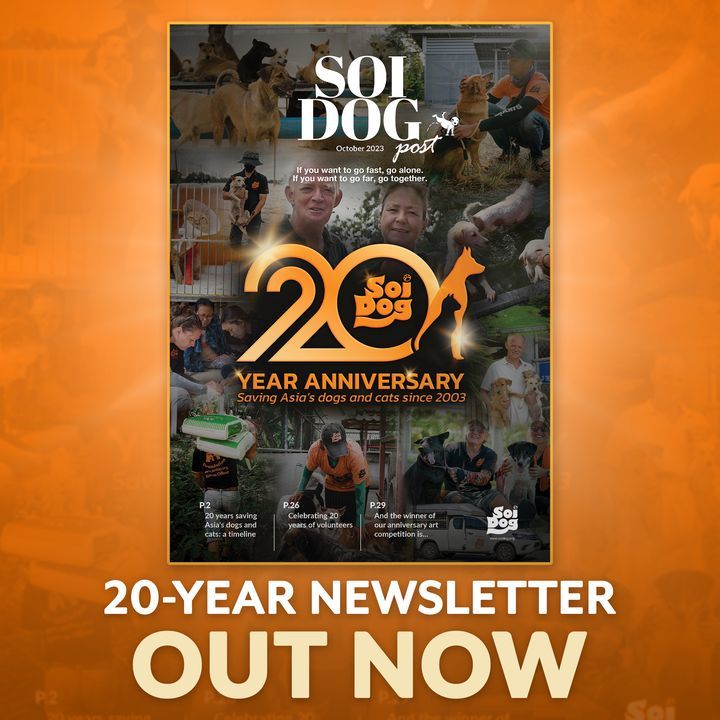 Twenty Years, One Newsletter. The Latest Edition O..