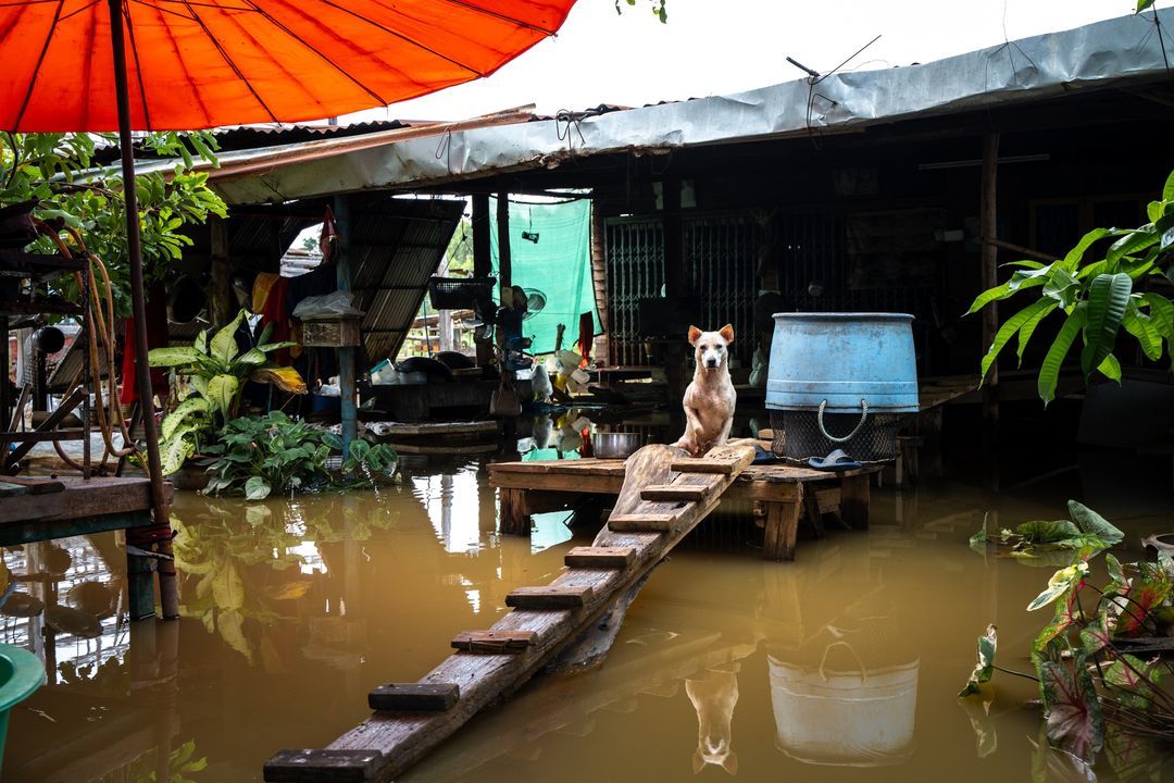 Flood Emergency Update Three Weeks Ago, Severe Flo..