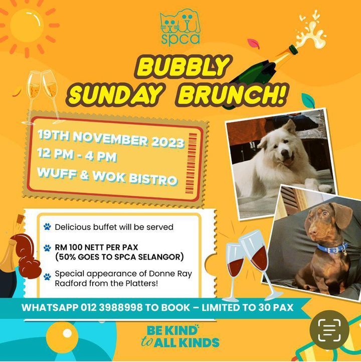 Bubbly Sunday Brunch With Wuff And Wok Restaurant ..