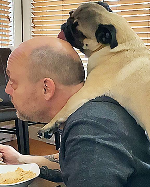 Pug Licks Manâ€™s Head Away. Nothing Beats This Obsession