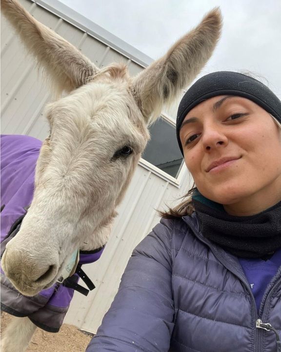 Jealous Donkey Demands Hugs And Kisses Before Anyone Else