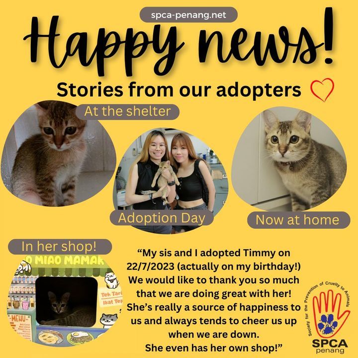Happy News Time Our Adoption Families Have Been Se..