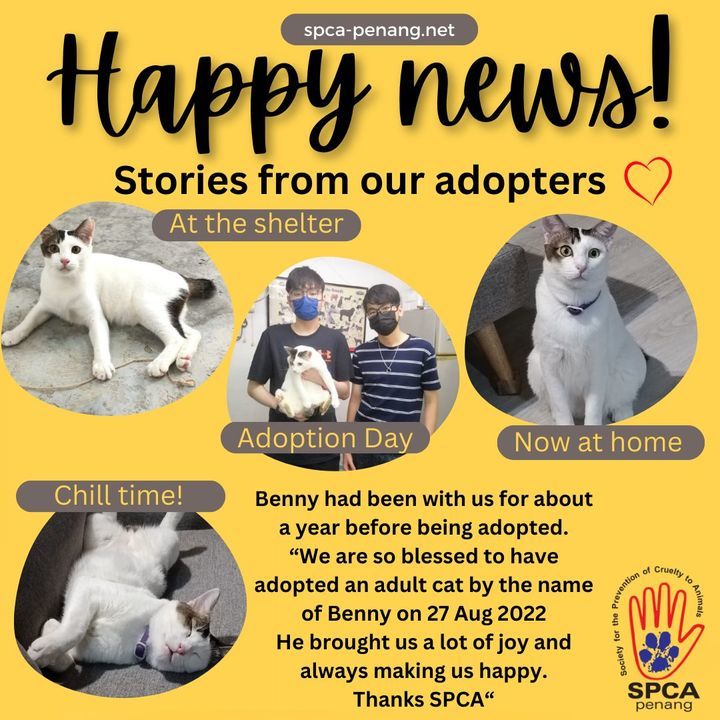 Happy News Time Our Adoption Families Have Been Se..