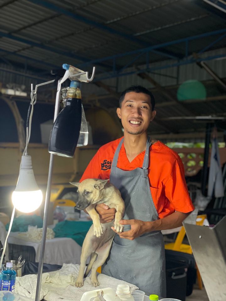 2023 Was A Hugely Successful Year For Soi Dog’s Cn..