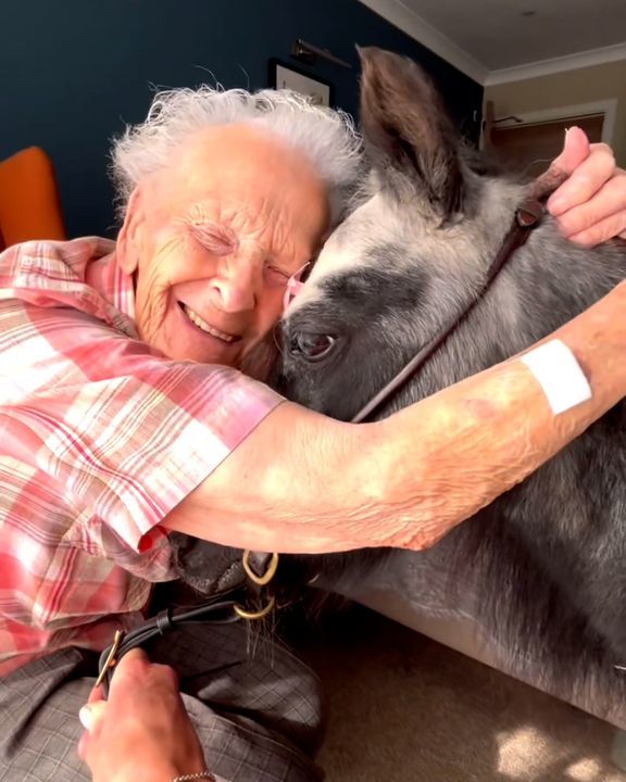 Therapy Ponies Bring Joy To Care Home Residents ðŸ¥°