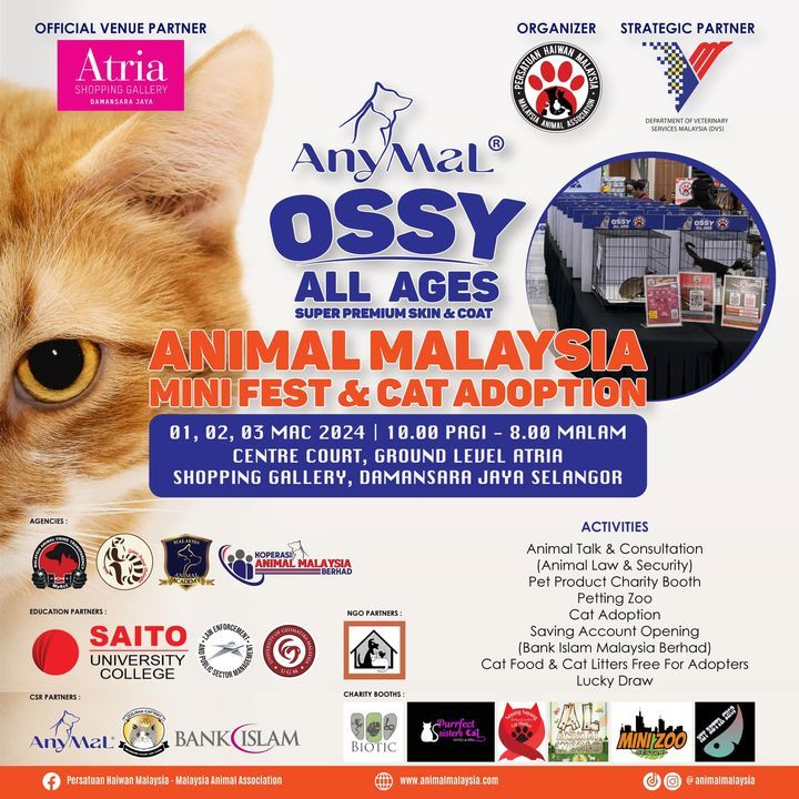 Anymalossy – Animal Malaysia Mini Fest Cat Adoptio..