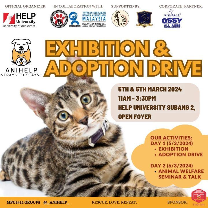 Kucing-Kucing Dari Galeri Animal Malaysia Akan Ber..