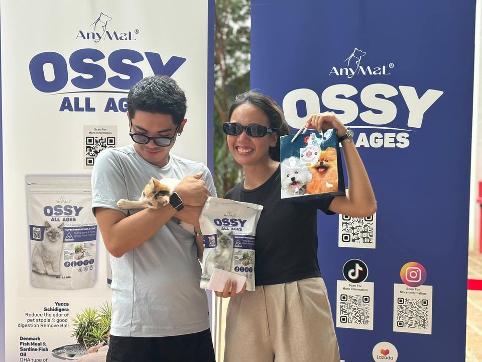 Program’anihelp Strays To Stays’ Exhibition Adopti..