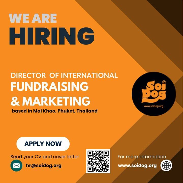 Soi Dog Is On The Lookout For A Director Of Intern..