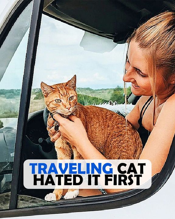 Mom Helped Restless Cat Find Adventures All Over The World