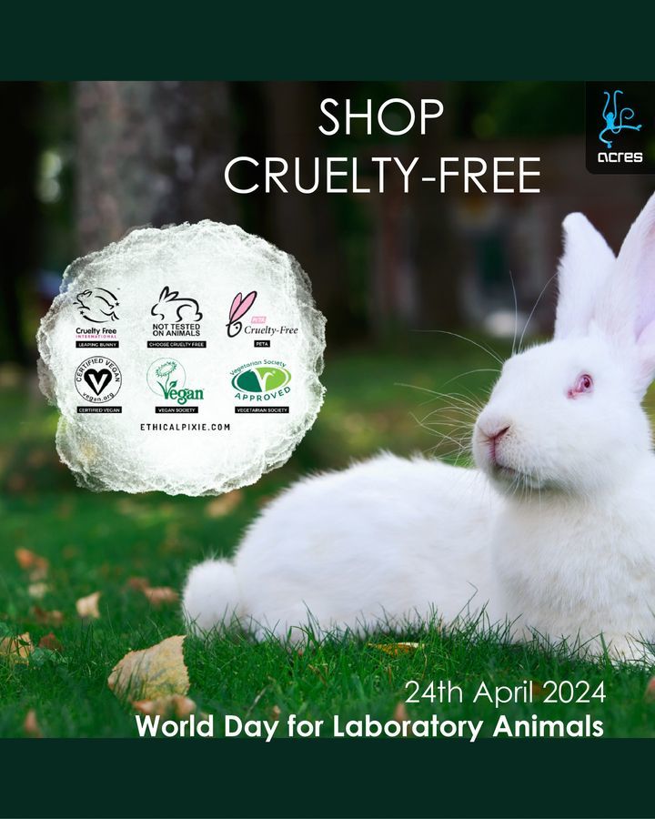 Today Is Worldlabanimalday. Many Of Us Know About ..